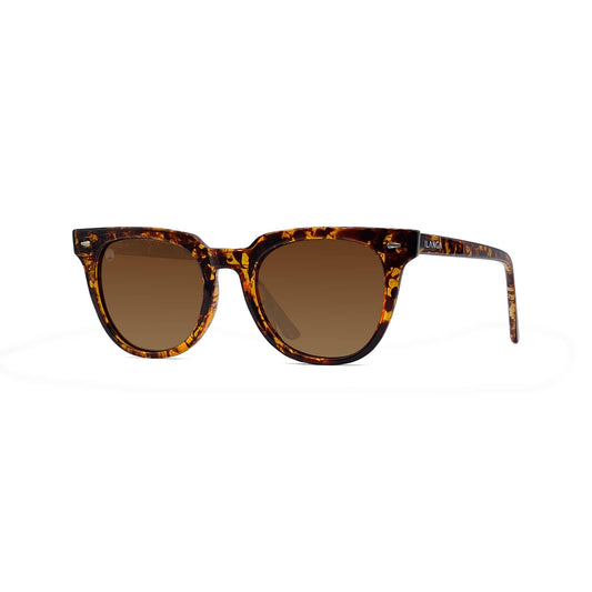 BROWN YELLOW TORTOISE