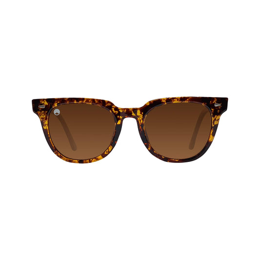BROWN YELLOW TORTOISE